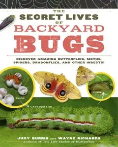 The Secret Lives of Backyard Bugs: Discover Amazing Butterflies, Moths, Spiders, Dragonflies, and Other Insects! [Repost]