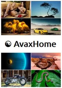 AvaxHome Wallpapers Part 38