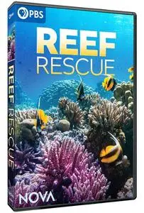 PBS - NOVA: Reef Rescue (2021)