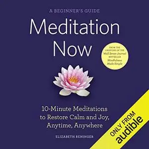 Meditation Now: A Beginner's Guide: 10-Minute Meditations to Restore Calm and Joy Anytime, Anywhere [Audiobook]