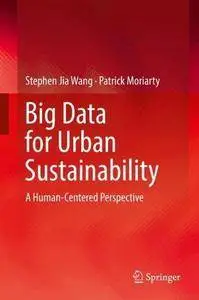 Big Data for Urban Sustainability: A Human-Centered Perspective