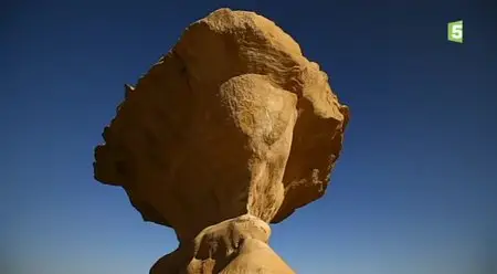 (Fr5) Arabie sauvage (2014)