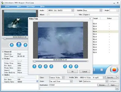 Joboshare DVD Ripper Platinum 3.0.1.0109 Portable