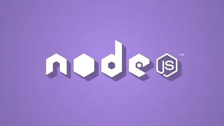 The Complete Node JS Developer Course