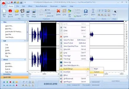 Cool Record Edit Deluxe 7.3.1