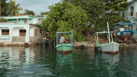 Cuban Food Stories (2018)