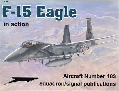 F-15 Eagle In Action