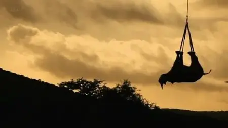 ITV - Poaching Wars (2013)