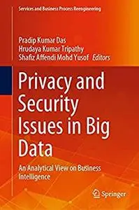 Privacy and Security Issues in Big Data