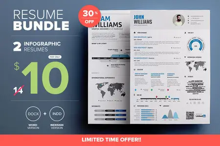 CreativeMarket - Infographic Resume - Mini Bundle