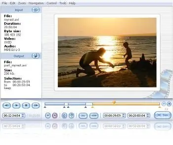 SolveigMM Video Splitter 2.3.1104.25