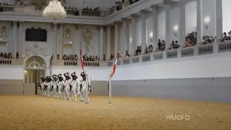 PBS - Legendary White Stallions (2013)