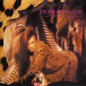 Dead Or Alive - Albums Collection 1984-1999 (13CD)