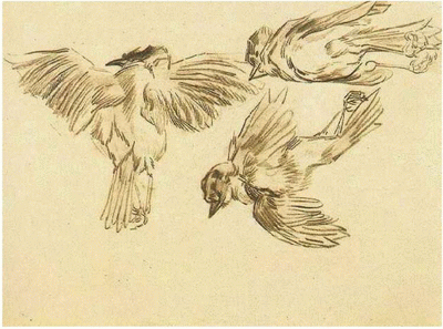 Vincent Van Gogh (part 17)