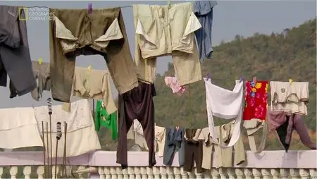 National Geographic - Megafamilies (2012)