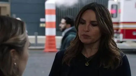 Law & Order: Special Victims Unit S25E11