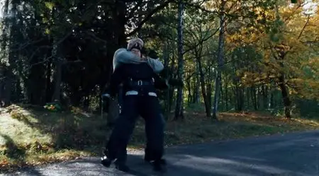The Girl Who Kicked The Hornets Nest (2009)