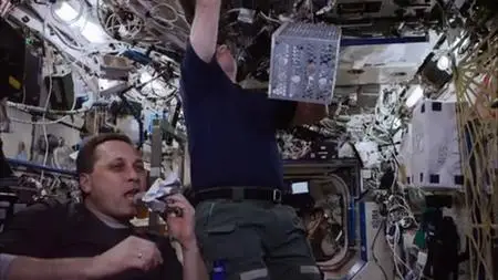 PBS - A Year in Space: Series 1 (2017)