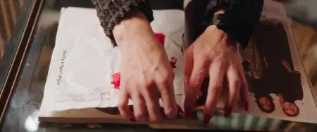 In Fabric (2018)