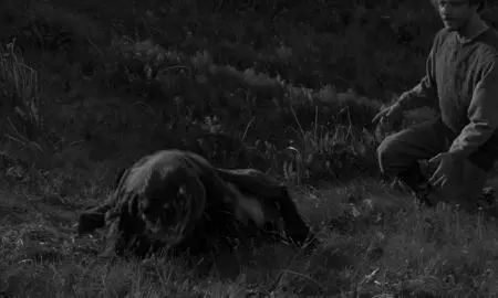 The Juniper Tree (1990)