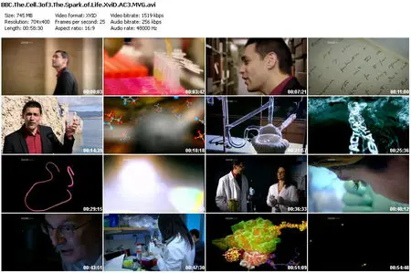 BBC – The Cell (2009)(complete)