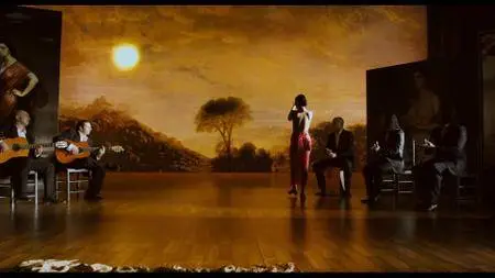 Flamenco, Flamenco (2012) [Blu-ray 1080p & BDRip 720p]