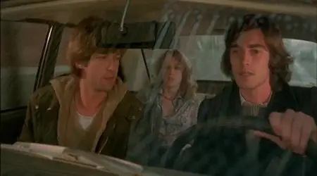 Young, Violent, Dangerous / Liberi armati pericolosi (1976)