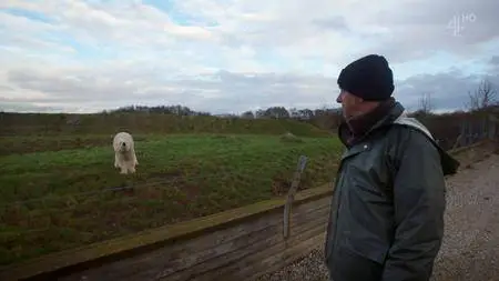 Channel 4 - Britain's Polar Bear Cub (2018)