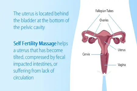 Self Fertility Massage