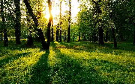 HD Wallpapers Wide Pack №45