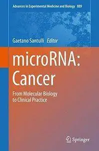 microRNA: Cancer: From Molecular Biology to Clinical Practice (repost)