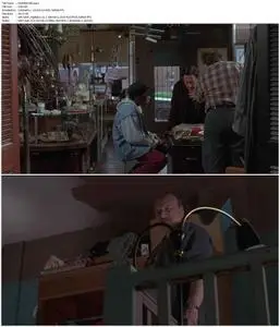 American Buffalo (1996)