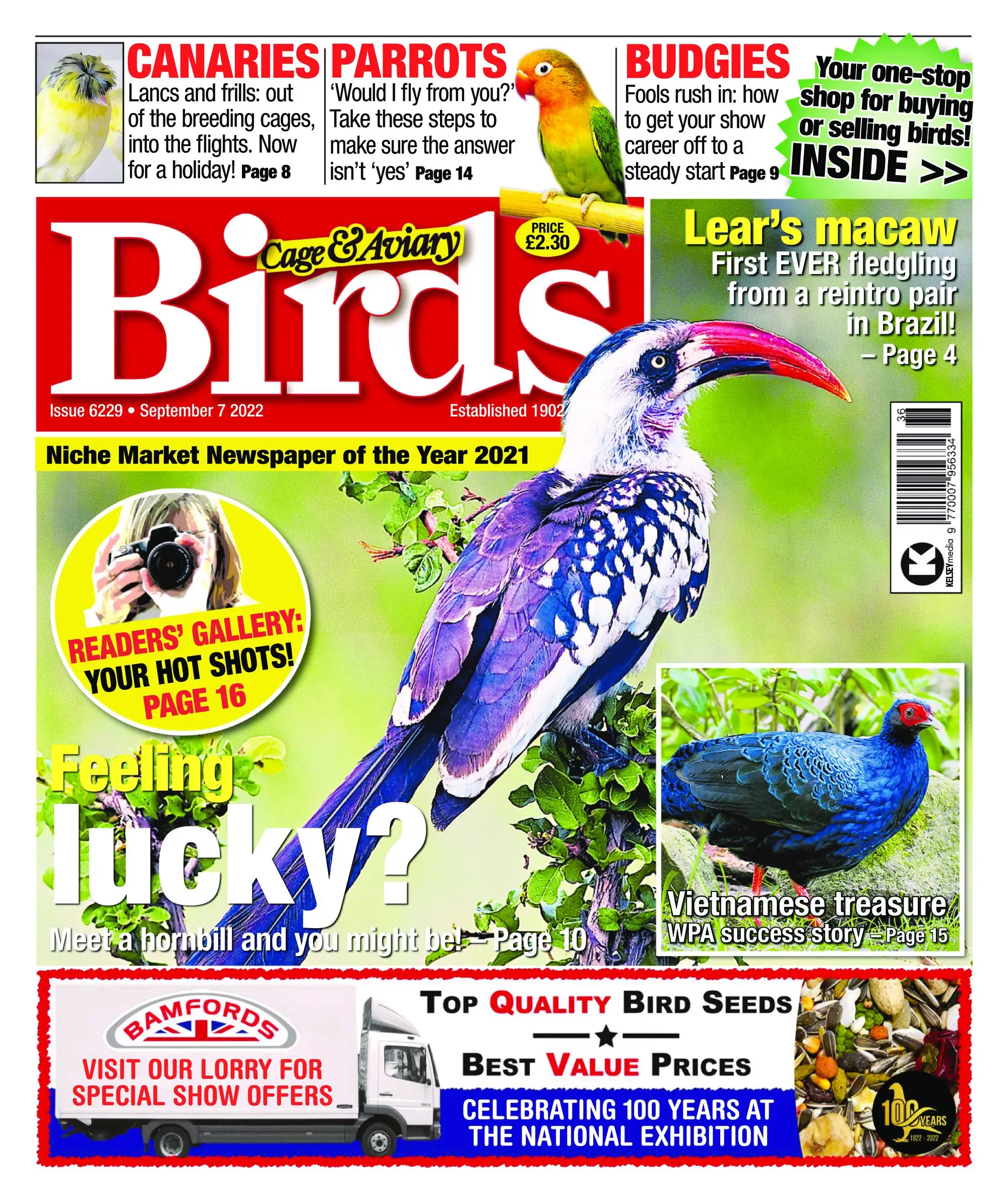 Cage & Aviary Birds – 07 September 2022