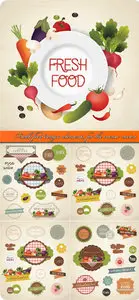 Fresh food design elements for the menu vector