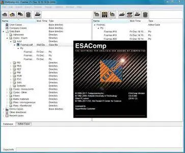 ESAComp 4.6