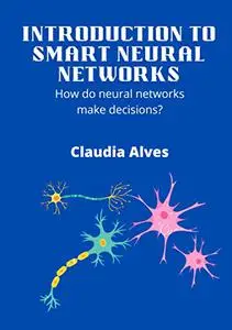 Introduction to smart neural networks: How do neural networks make decisions?