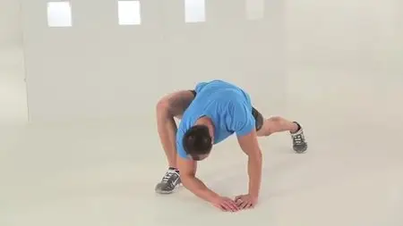 Elite Functional Exercise (EFX): Postural Bodyweight Training (2013)