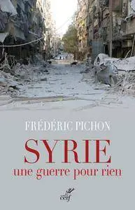 Frédéric Pichon, "Syrie, une guerre pour rien"