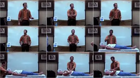 David Snyder - Vibrational Healing