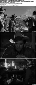 Winchester '73 (1950)