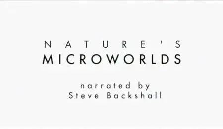 BBC - Nature's Microworlds (2012)