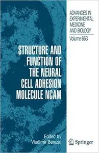 Structure and Function of the Neural Cell Adhesion Molecule NCAM