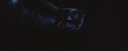 The Haunted Castle (1969)
