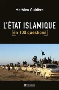 Mathieu Guidère, "L'État islamique en 100 questions"