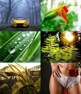 Wallpapers Ad-9