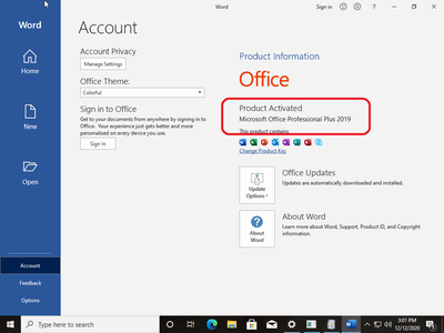 Windows 10 Pro 20H2 10.0.19042.685 With Office 2019 Pro Plus Preactivated Multilanguage December 2020