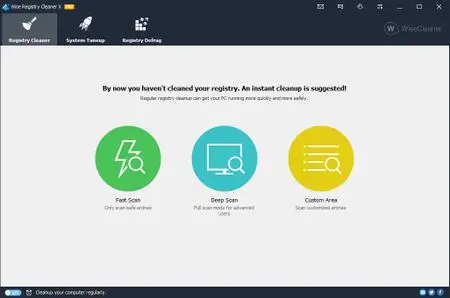 Wise Registry Cleaner Pro 10.2.7.687 Multilingual Portable