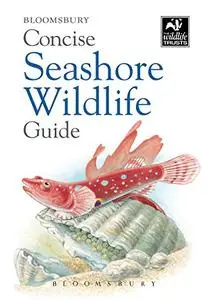 Concise Seashore Wildlife Guide