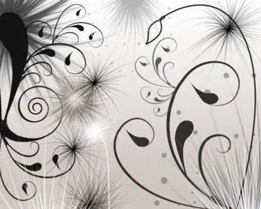 Swirls and Seeds Brushes for Photoshop
