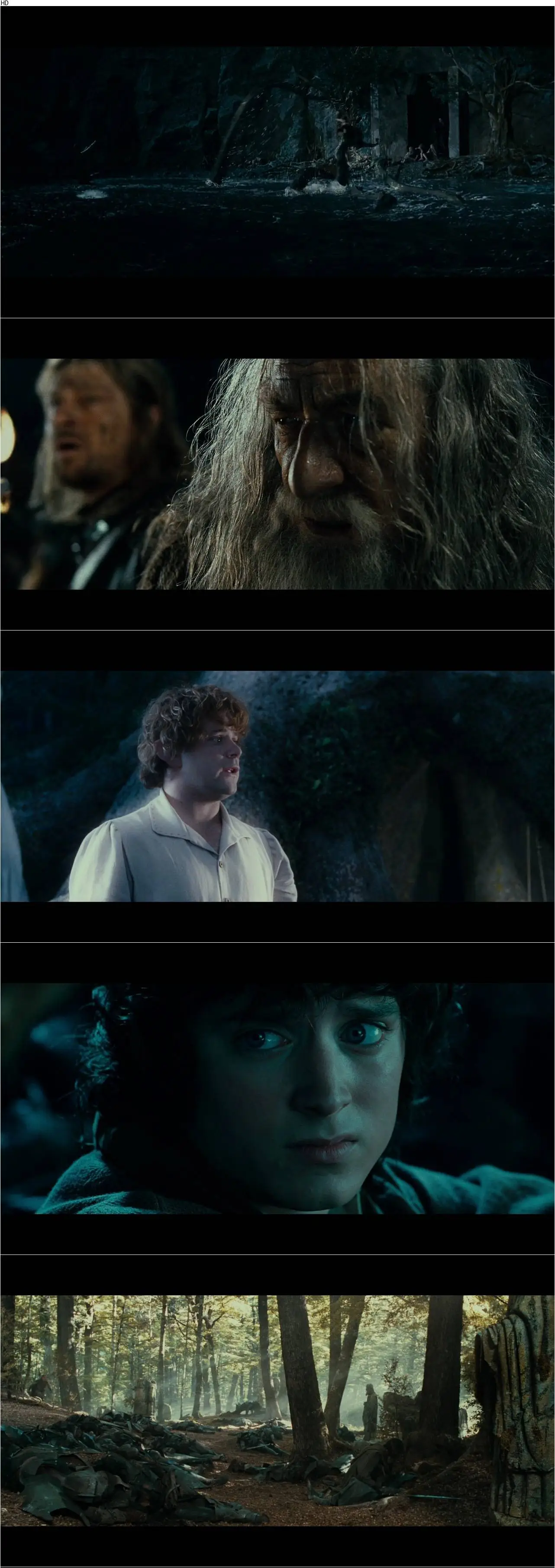 Fellowship Of The Ring Extended Edition The Lord of the Rings: Fellowship of the Ring (2001) [Extended Edition